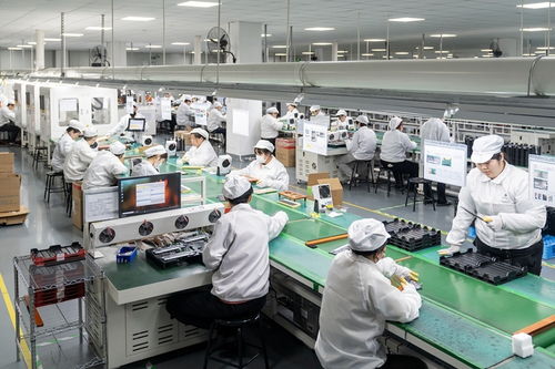 望政策落實，引家電革新之源